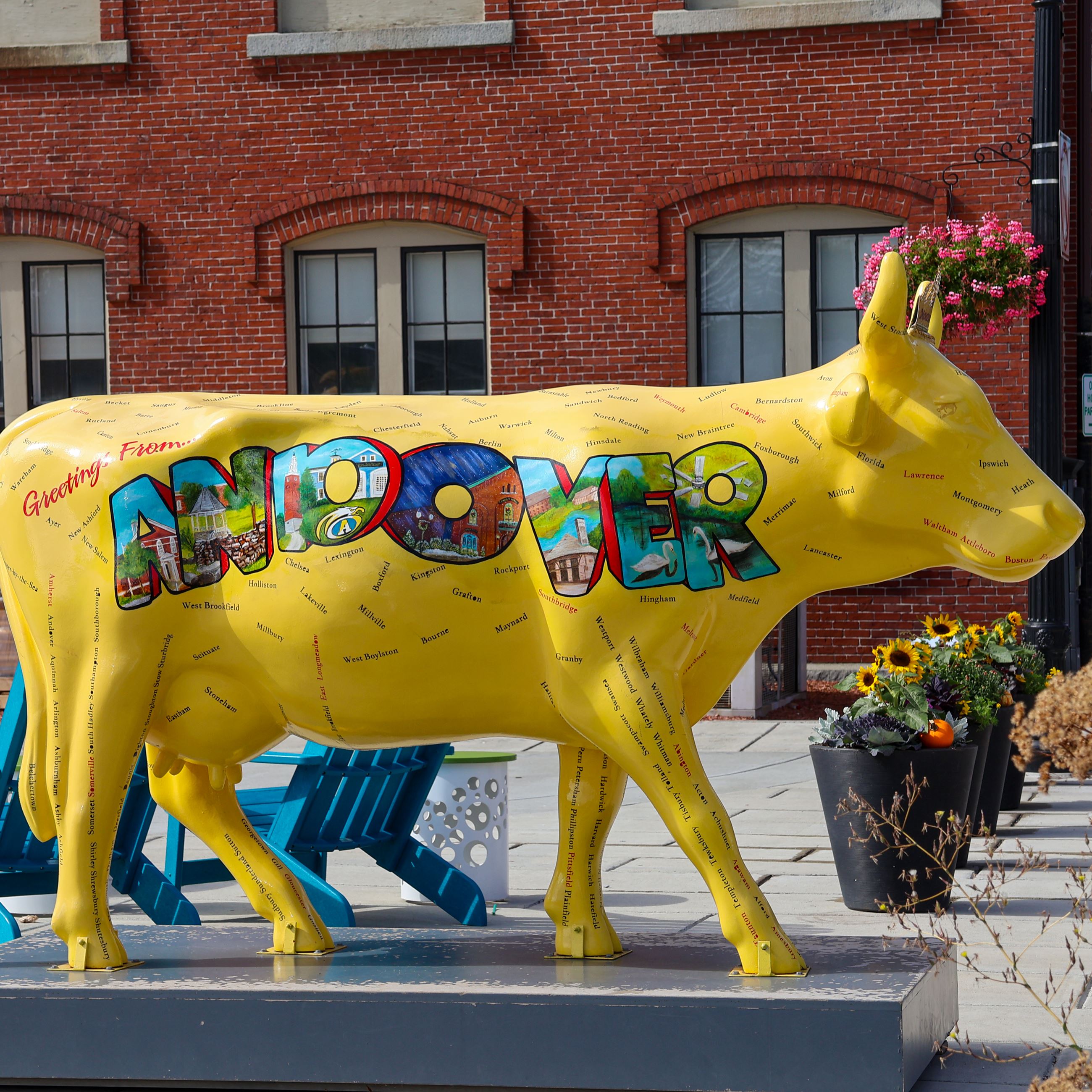 A yellow cow with 