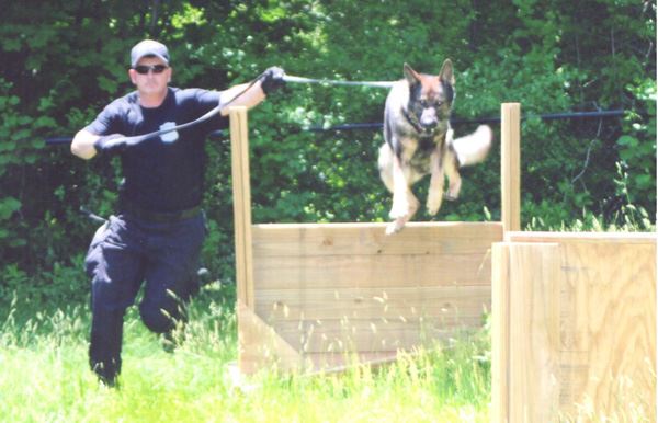 An officer training a police dog.