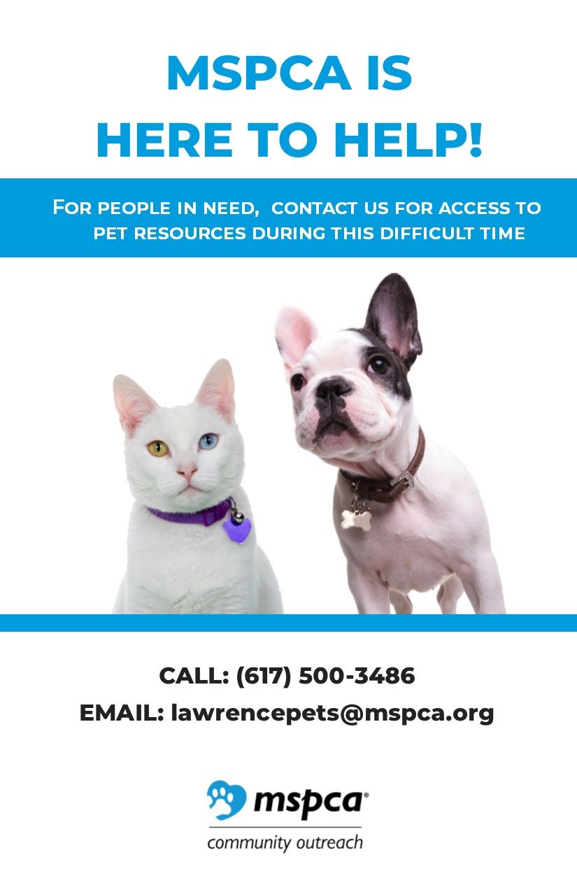 MSPCA Help for Pets Owners During COVID 19 Pandemic